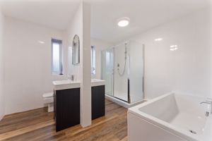 Family Bath/Shower Room- click for photo gallery